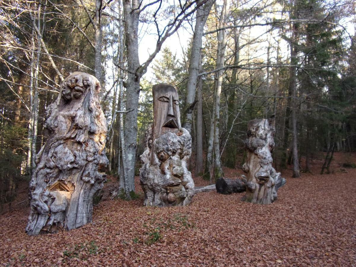 Gite Le Cerf De Belledonne Sainte-Agnès Екстериор снимка