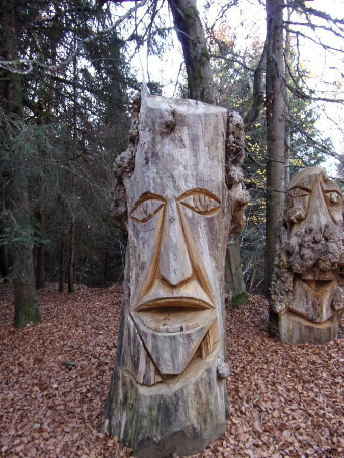 Gite Le Cerf De Belledonne Sainte-Agnès Екстериор снимка